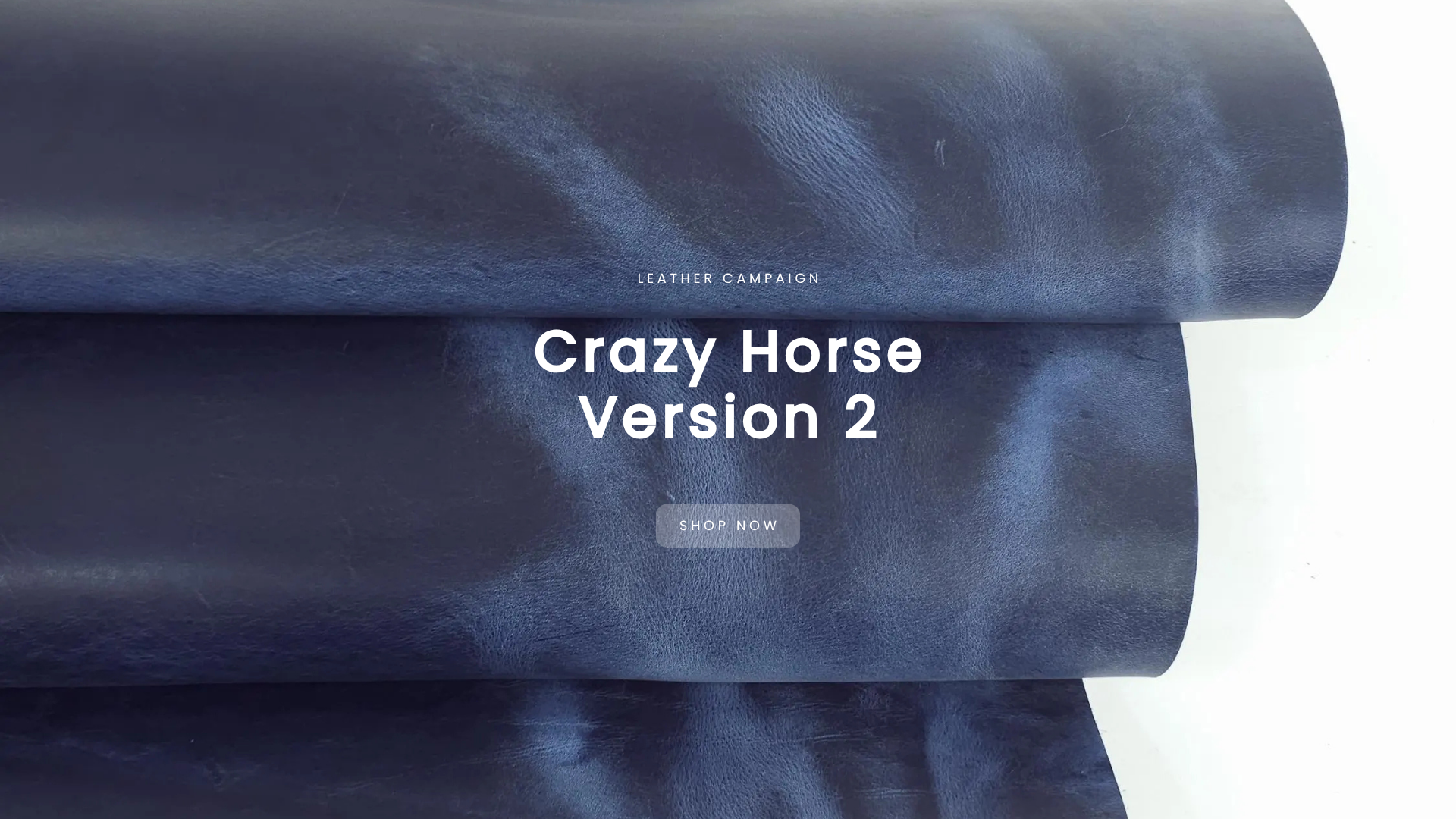 Crazy Horse V2